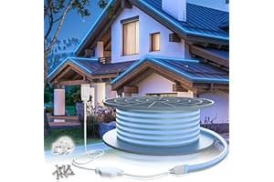 KSIBNW 16.4ft LED Neon Light Strip,Type AC 110-120V Flexible LED Rope Light,Waterproof/Cuttable/Connectable Neon Strip Light for Home/Garden/Building Decoration(5m,Blue) (Power Adapter Included)