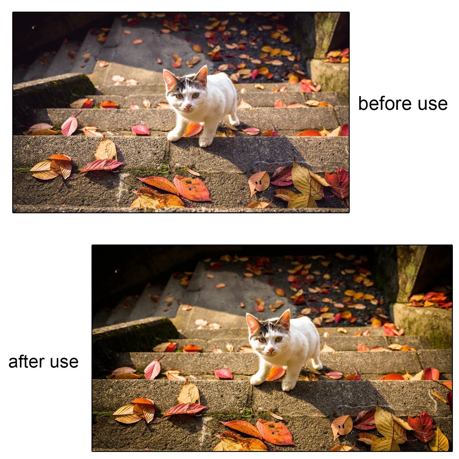 Gray Grey Premium Exposure Photography White Balance Card 18% Card Custom Calibration Camera Checker Cards for Video DSLR and Film.