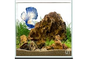 Ultum Nature Systems Ultra Clear Rimless Aquarium - Low Iron Glass Fish Tank with 45° Mitered Edges, 5mm-12mm Thick, Leveling Mat Included (25C, Cube, 4 Gallon)