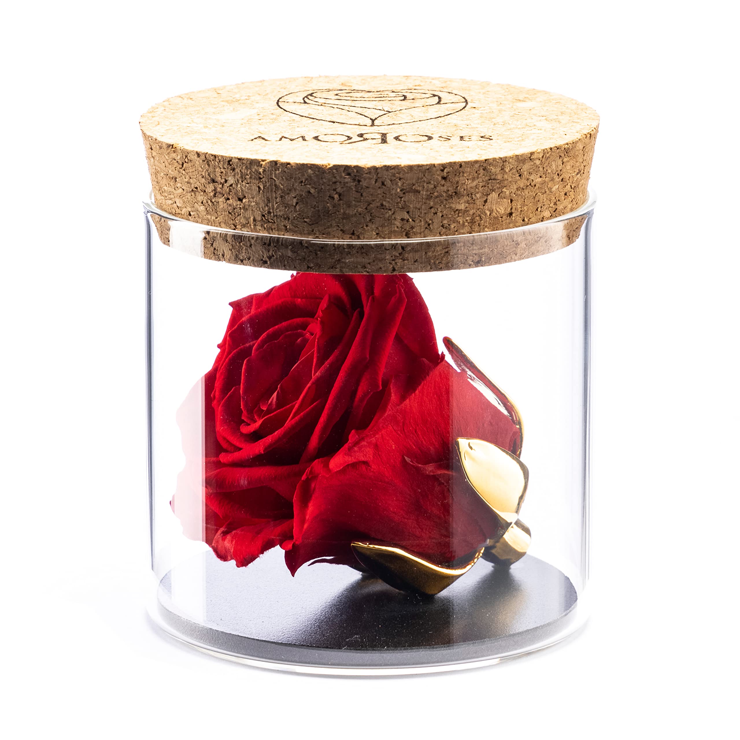 Amoroses Bijou - Eternal Stabilised Rose with 24K Gold Plated Calyx in Glass Jar | Gift Idea (Red Rose)