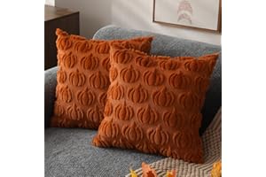 DFXSZ Fall Pillow Covers 18x18 Set of 2 Fall Decorations Autumn Rust Pumpkin Throw Pillow Cases Soft Plush Faux Fur Wool Couch Cushion Case for Chair Sofa Bedroom Living Room Home Decor PTK02A18
