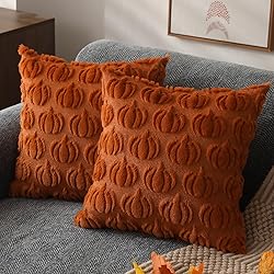 DFXSZ Fall Pillow Covers 20x20 Set of 2 Fall