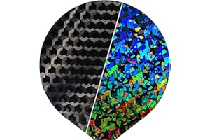 NORTHRENDA Upgraded Build Plate for T1 Pro/T1/SR/QQS Pro Plate Round 270mm Diameter Platform Smooth PEH+PED Build Sheet Removable Spring Steel Sheet Heated Bed for FLSUN 3D Printer