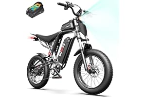 Electric Bike for Adults, 1000W-2000W Peak, 20" Fat Tire Electric Dirt Bike, 48V Removable Battery, Up to 30-34MPH & 45-80 Mi