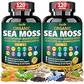 Bualle Organic Sea Moss Capsules with Sea Moss,Black Seed Oil,Ashwagandha,Bladderwrack,Ginger,Burdock Root for Immune System,Skin,Energy Support-120 Capsules (2 Pack)