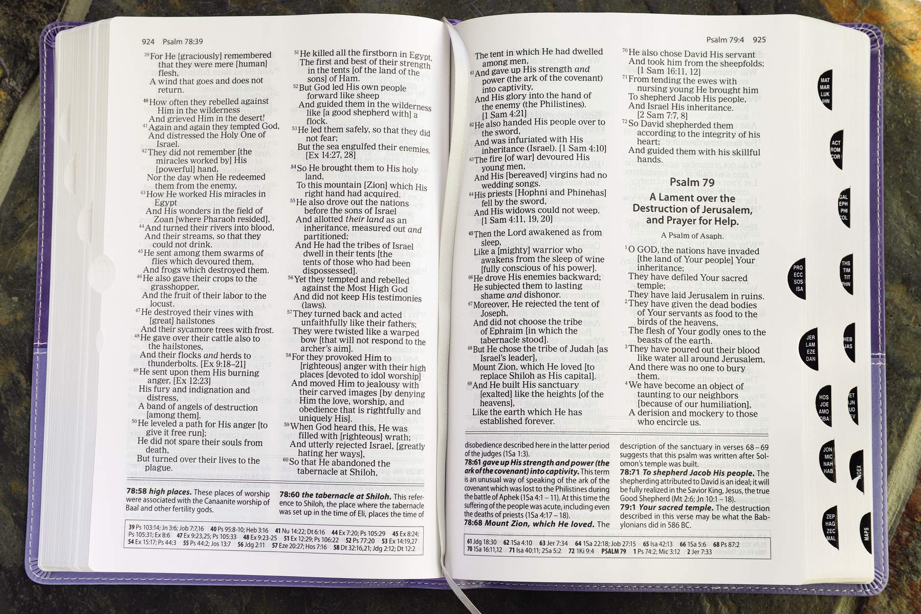 The Amplified Study Bible, Leathersoft, Purple, Thumb Indexed The Amplified Study Bible, Leathersoft, Purple, Thumb Indexed Imitation Leather