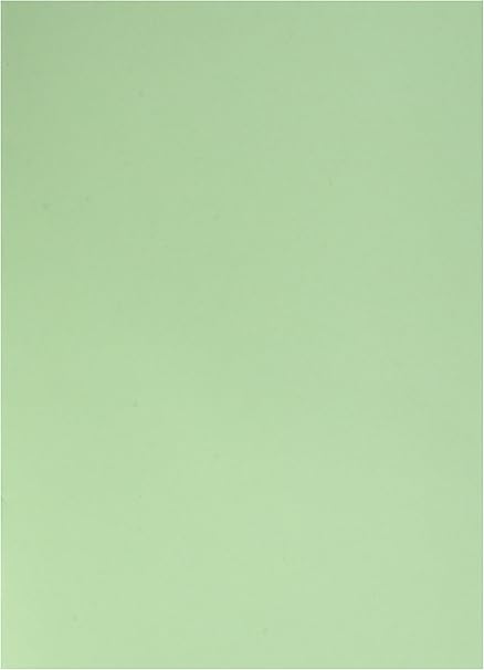 Paquet De 100 Sous Chemises Forever 100 Recycle Flash 80 Couleur Vert Pastel Exacompta Amazon Fr Fournitures De Bureau