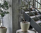 SUStee Watering Indicator Set of 2 - Smart Plant Care, Made in Japan view 3