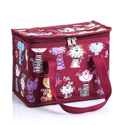 Sac Repas Sac à Déjeuner Isotherme Imperméable Pliable Lunch Bag ...