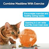 PetSafe SlimCat Interactive Feeder Orange Adjustable Portions Slow Feeder Toy view 4