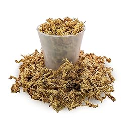 Premium Grade Sphagnum Moss by Gardenera - Organic