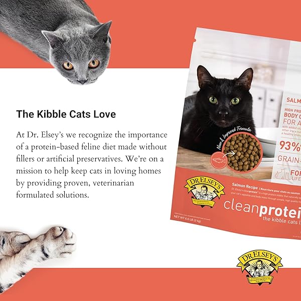 DR. ELSEY’S CLEANPROTEIN SALMON FORMULA DRY CAT FOOD, 6.6 LB