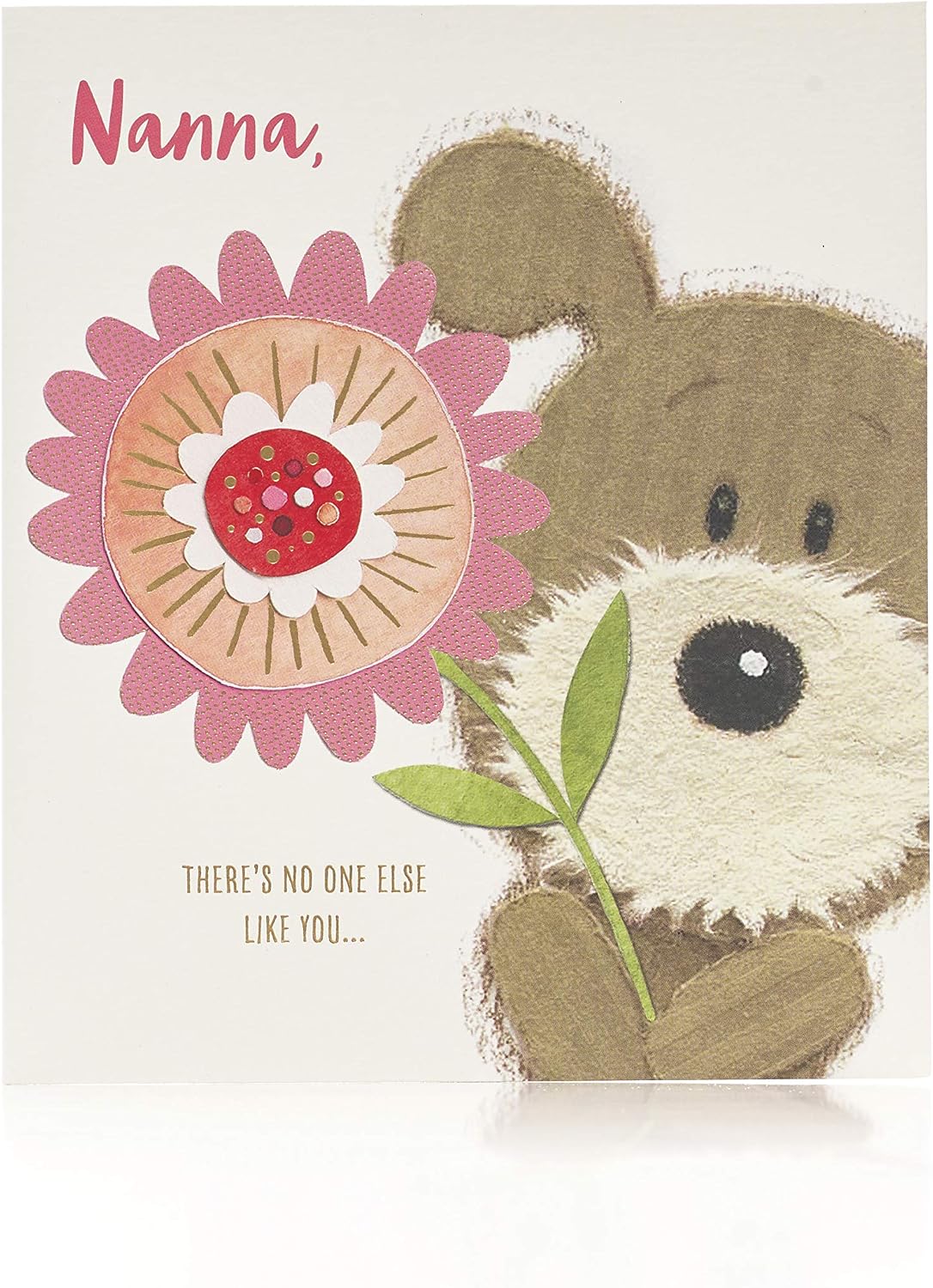 UK Greetings Mother's Day Card for Nanna With Envelope - Dog & Flower Design, Multi, Pack of 1