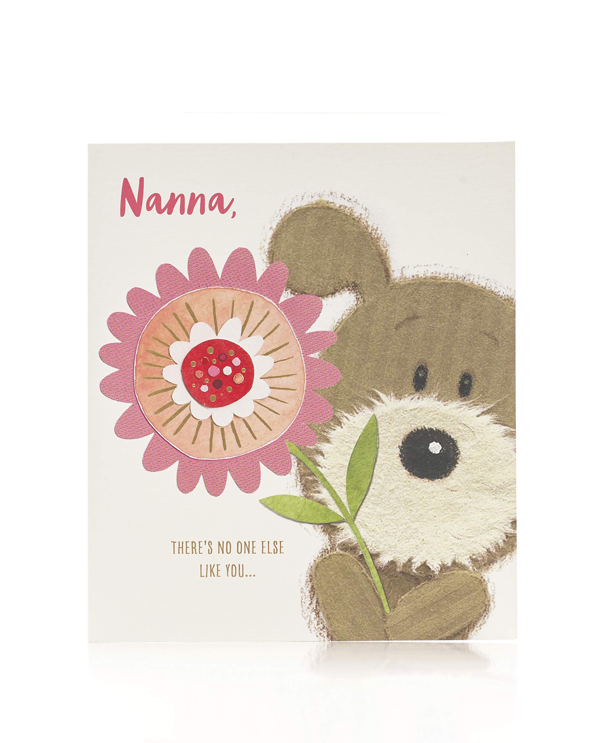 UK Greetings Mother's Day Card for Nanna With Envelope - Dog & Flower Design