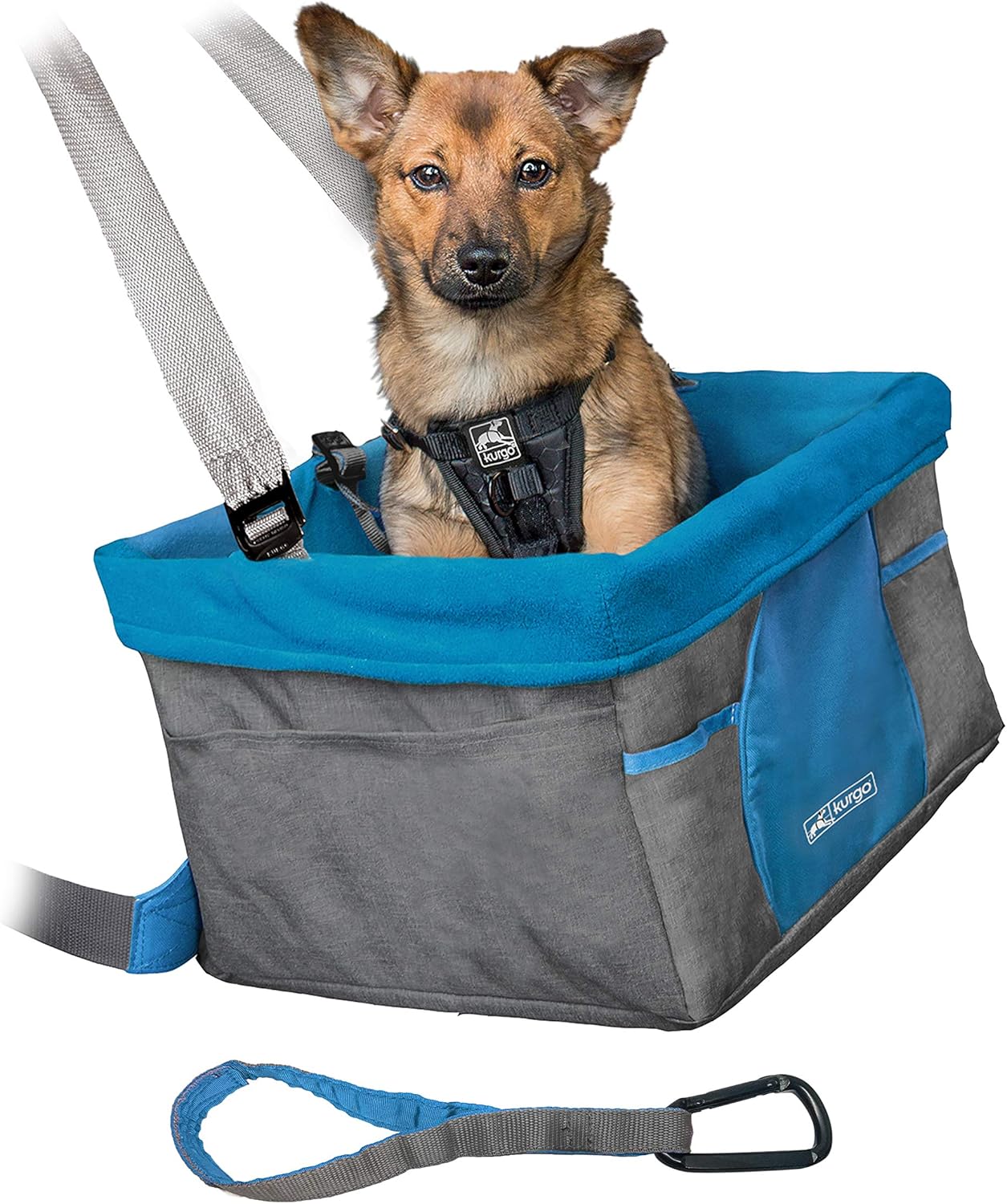Best car seat for westie