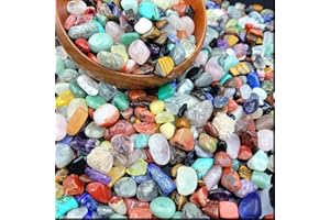 SEEUFUN 400Pcs+ (1.5lb) Gemstones and Crystals Set,30Kinds+ Bulk Tumbled Chps Crystals for Jewelry Making,Chakra Balancing,Crushed Stones Rocks and Minerals Science Kit (1.5, Pounds)