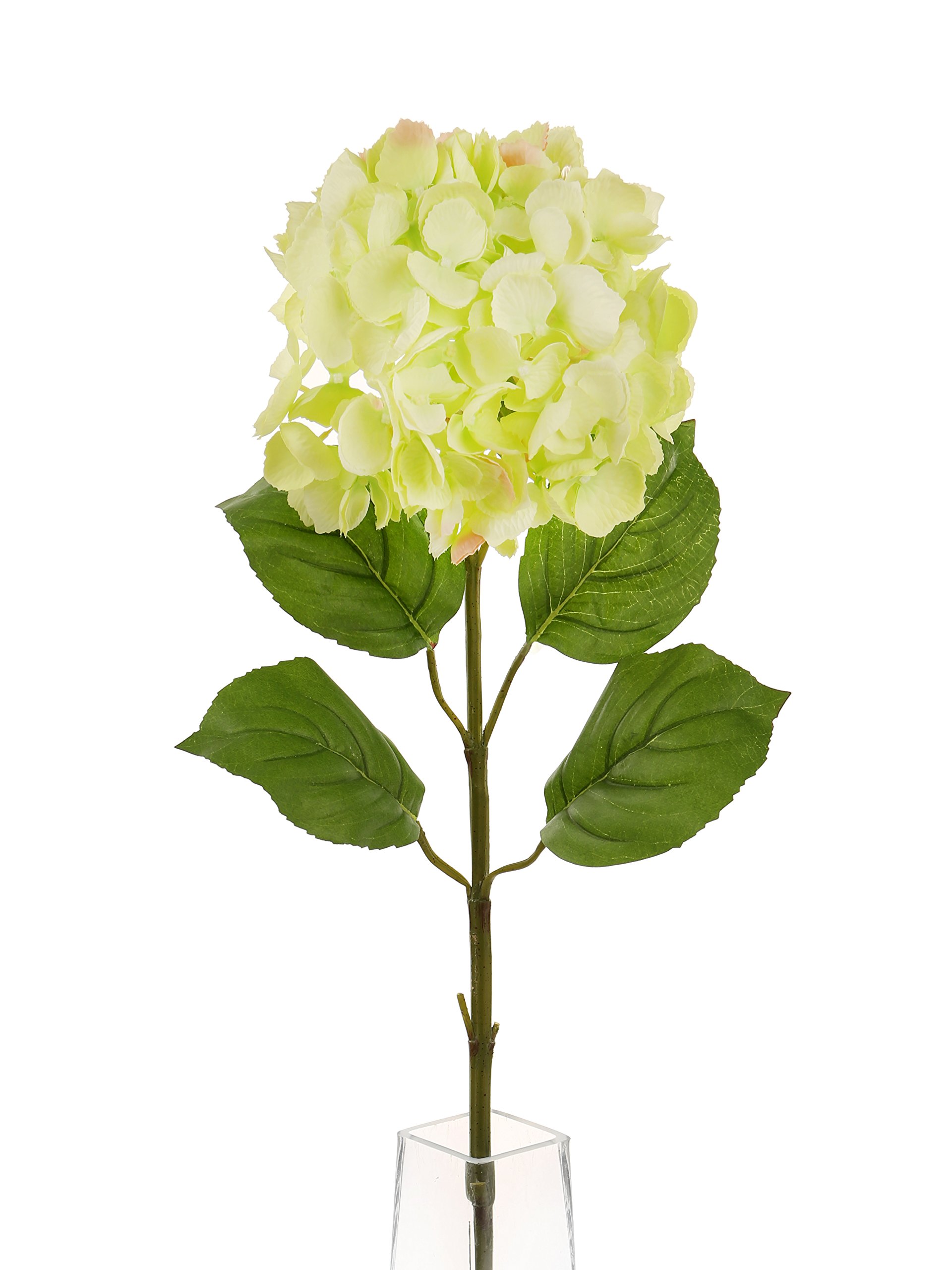 Floral Elegance Artificial 87cm Single Stem Green Mophead Hydrangea Flowers x 6