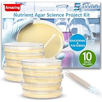 Evviva Sciences Nutrient Agar Plates - Ready-to-Use Petri Dishes For Microbiology Experiments & Science Projects