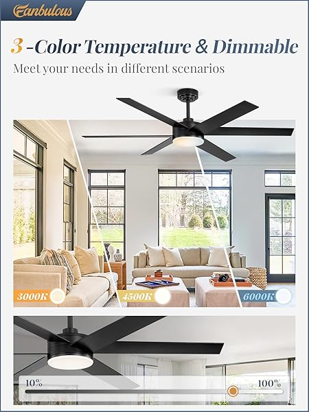 FANBULOUS 56 INCH CEILING FANS WITH LIGHTS AND REMOTE, REVERSIBLE 6 BLADES, DIMMABLE, 3000K-6000K ADJUSTABLE, OUTDOOR CEILING FANS FOR PATIOS, LARGE CEILING FAN FOR INDOOR OR COVERED OUTDOOR-BLACK