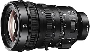 Sony SELP18110G 18-110mm f/4-22 Fixed Zoom Camera Lens, Black