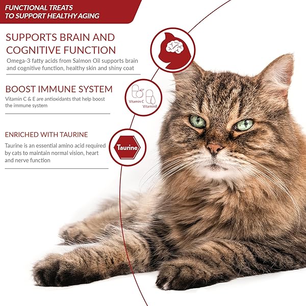 INABA CHURU FOR SENIOR 10+, CREAMY LICKABLE CAT TREATS WITH TAURINE, VITAMIN E & C, 0.5 OUNCES EACH, 60 TUBES, TUNA & CHICKEN VARIETY