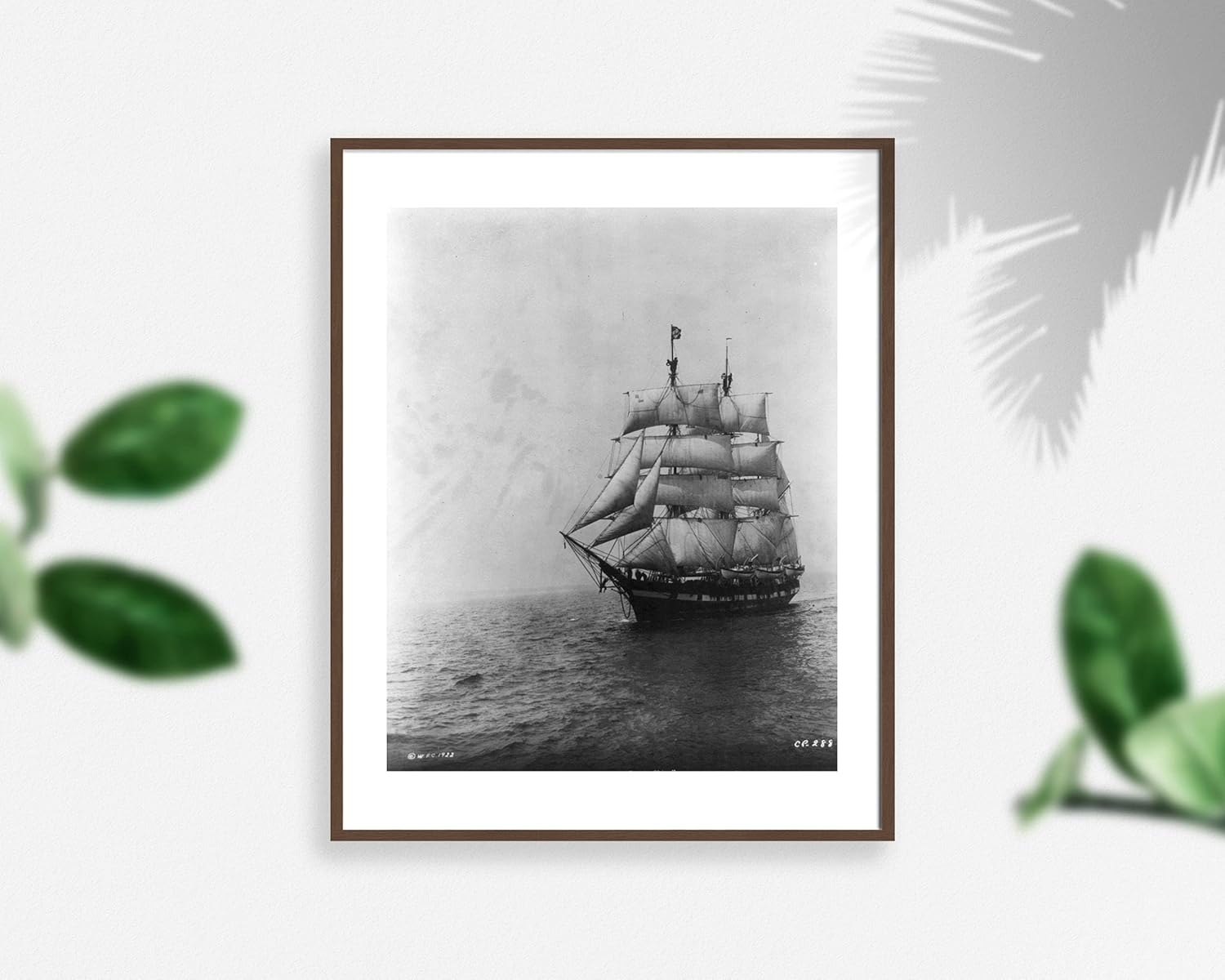 Photographs - INFINITE PHOTOGRAPHS Photo: Whaling Ship, Wanderer, Down to The Sea in Ships, Charles W Morgan, c1922