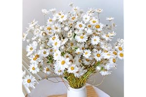 GLICRILI Dried Daisy White Flowers,250+ Real Chrysanthemum Rhodanthe Daisies Flower Head Length 17'' Gerber Daisies for vase, Bouquet, Flower Arrangements,Gift for Mother Home Wedding Decor
