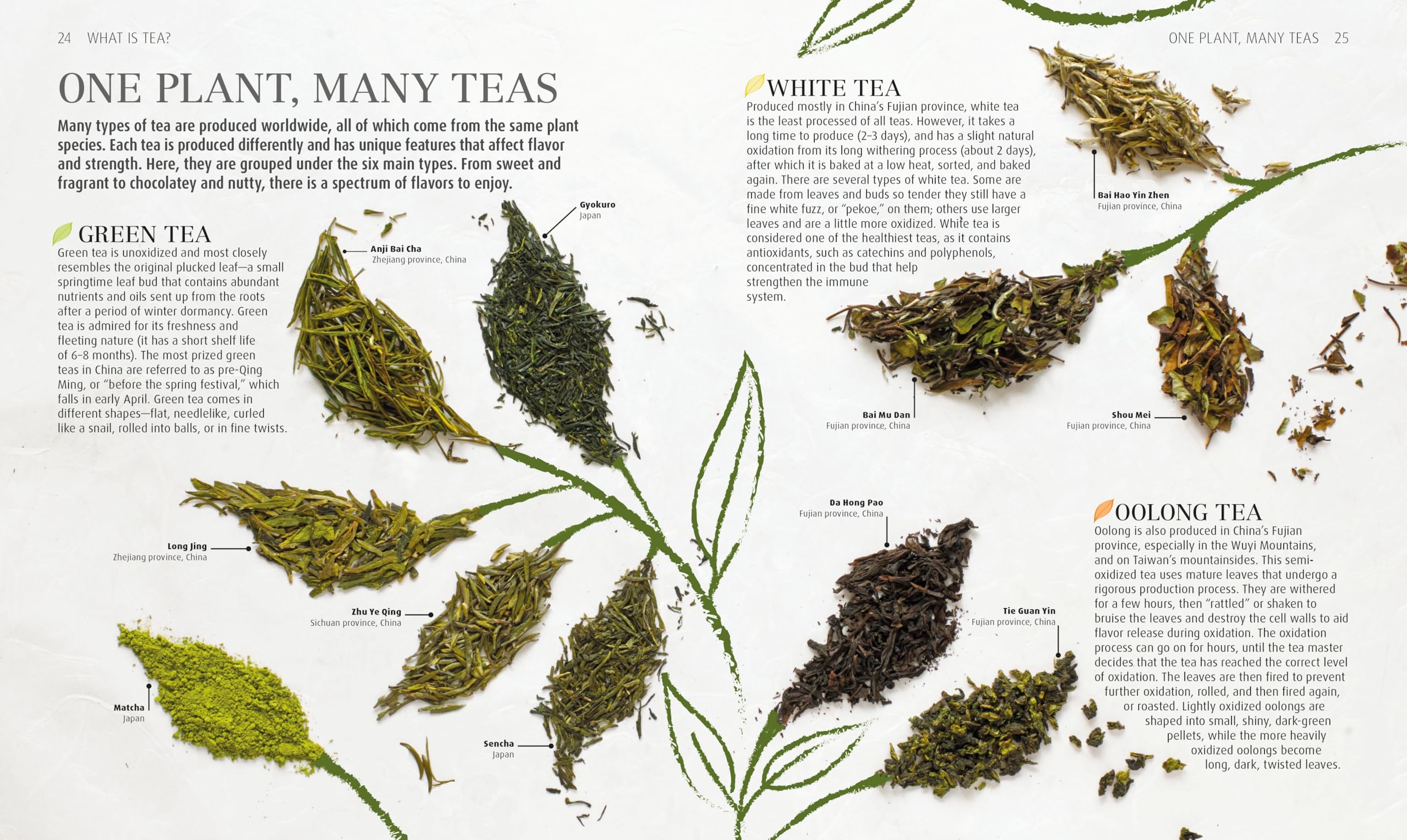 The Tea Book: Experience the World’s Finest Teas, Qualities, Infusions, Rituals, Recipes
