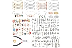 PHINICCO Bangle Bracelets Making Kit 317 Pcs Charm Bracelet Making Kit with Expandable Bangles, Colorful Charms, Jump Rings and Pliers for for DIY Jewelry Crafting