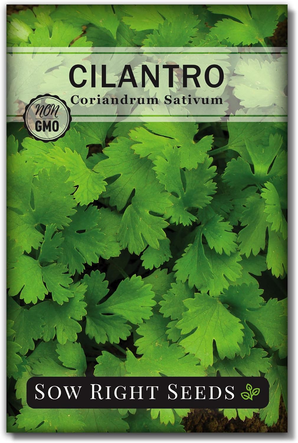 Sow Right Seeds - Cilantro Seed - Non-GMO Heirloom Seeds with Full Instructions for Planting an Easy to Grow herb Garden, Indoor or Outdoor; Great Gift (1 Packet)