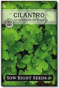 Sow Right Seeds - Cilantro Seed - Non-GMO Heirloom Seeds with Full Instructions for Planting an Easy to Grow herb Garden, Indoor or Outdoor; Great Gift (1 Packet)