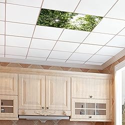 Drop Ceiling Light Covering Insert 4' x 2' feet