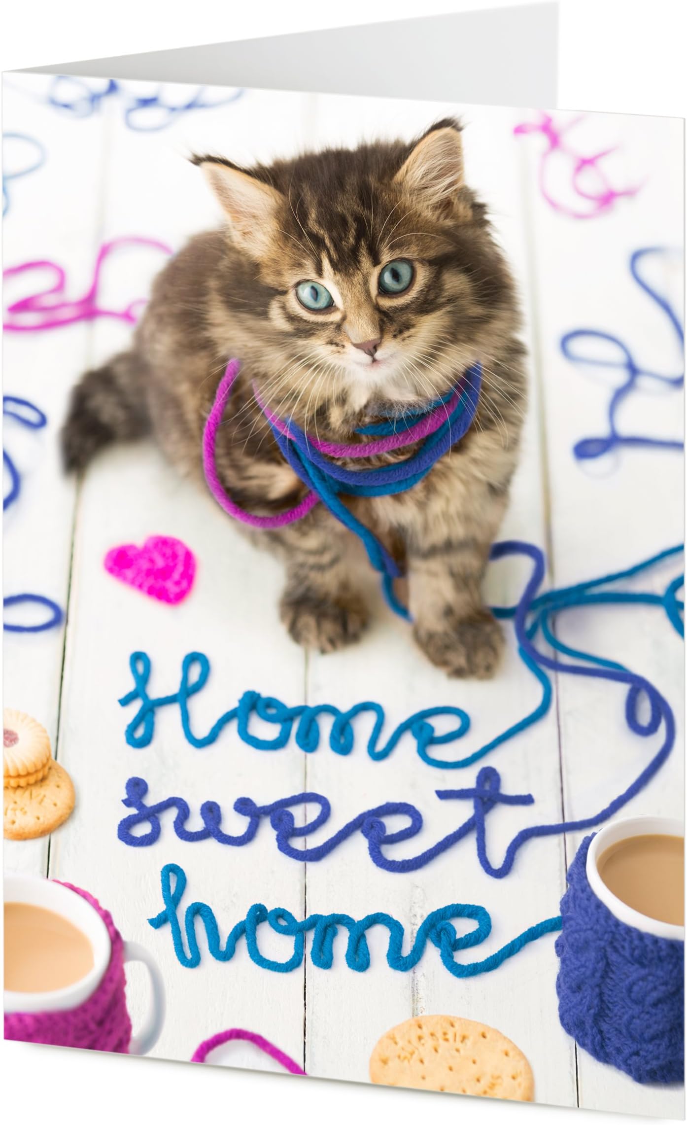 'Home Sweet Home' If cats could talk, Knitted wool text, New House Card.
