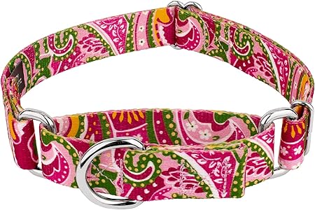 country brook design martingale dog collar