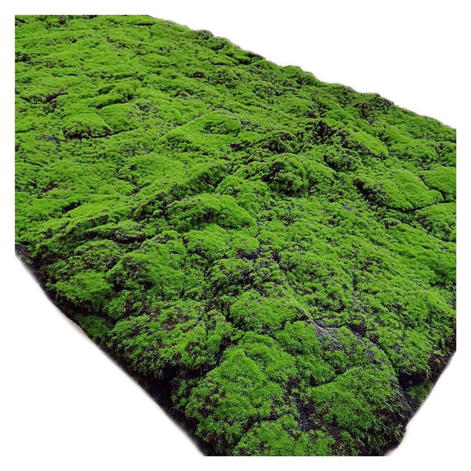 Photo 1 of YIQIFLY Simulation Artificial Moss Mat Fake Grass Rug DIY Synthetic Turf Lawn Carpet for Wedding Home Backyard Balcony Indoor Outdoor Decor (Color : Dark Green, Size : 1x1m(3.2x3.2ft))
