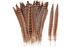 THARAHT 24pcs Female Ringneck Pheasant Tails Feathers Natural Feathers 10-12inch 25-30cm for Crafts Home Wedding Party Performance DIY Decoration Female Pheasant Feathers