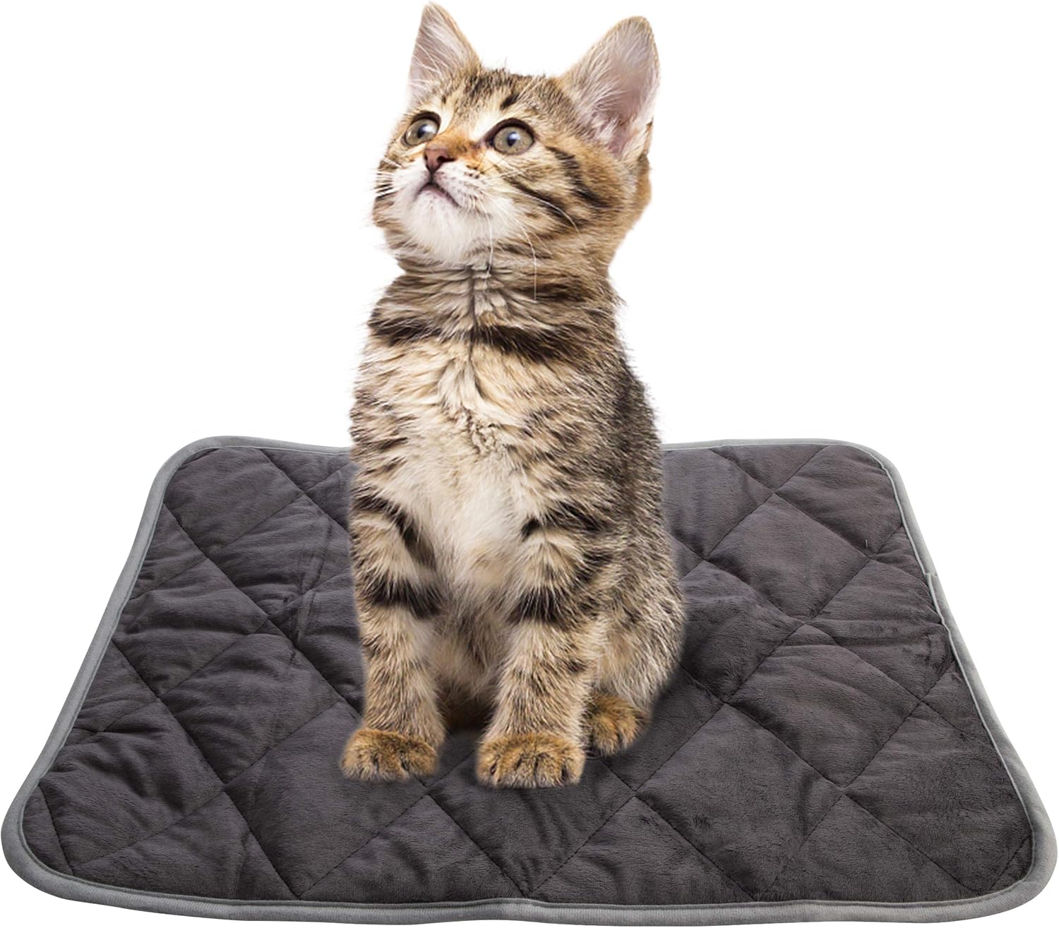 Self Heating Cat Pad Pet Mat Dog Beds, Warming Pad Cozy
