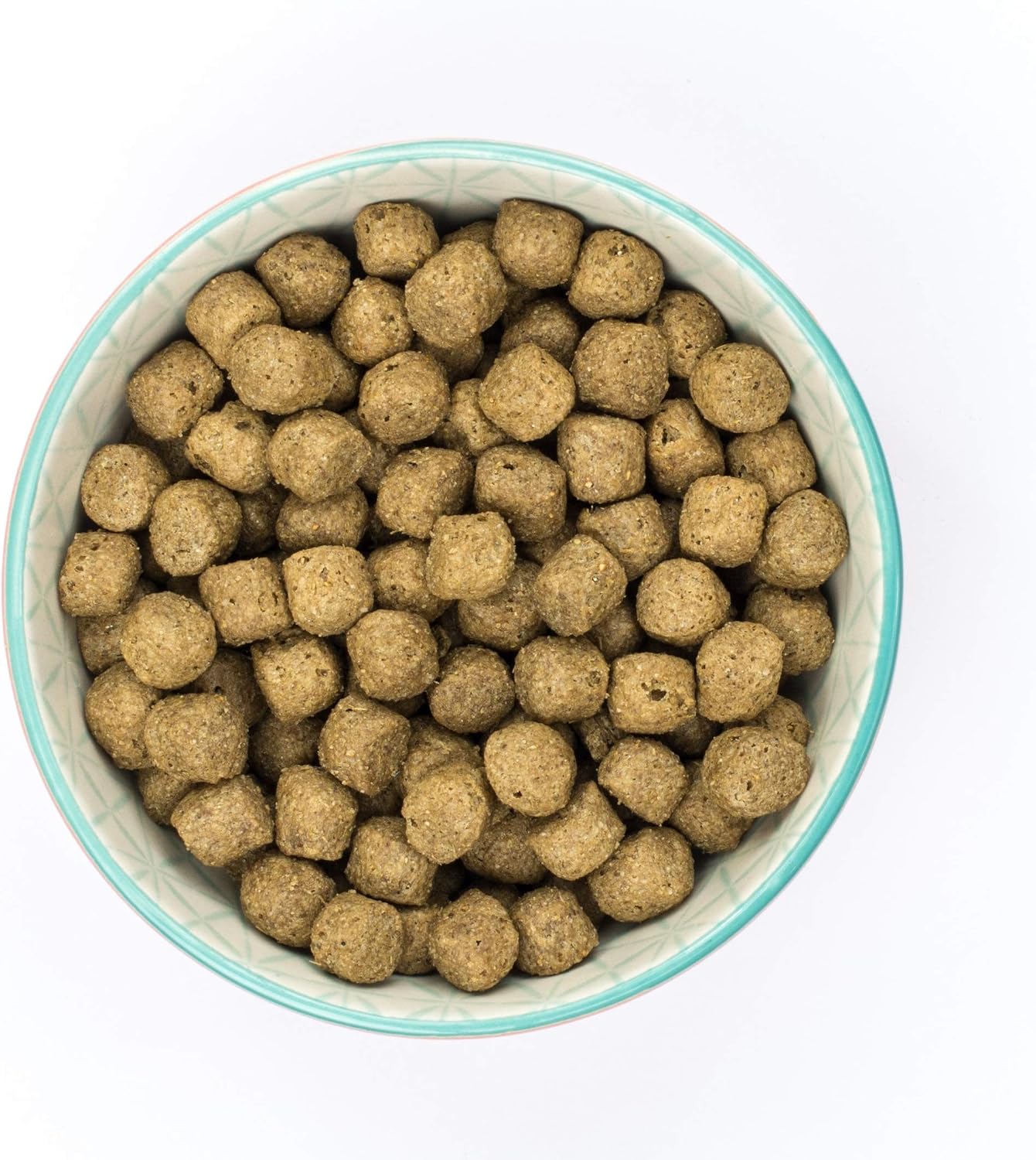 Burns Pet Nutrition Hypoallergenic Complete Dry Dog Food Adult and Senior Dog Original Fish and Brown Rice 6 kg - Image 4