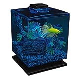 GloFish Betta Aquarium Kit 1.5 Gallons, Easy Setup