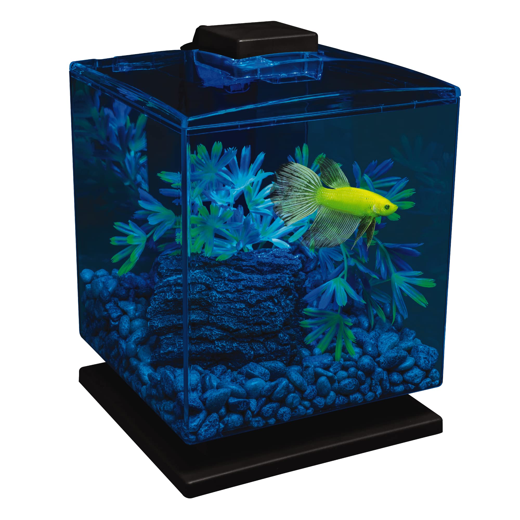 GloFish Betta Aquarium Kit 1.5 Gallons, Easy Setup