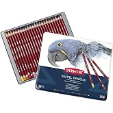 Derwent Pastel Pencils, 4mm Core, Metal Tin, 24 Count (32992)
