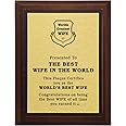 aahs!! Engraving Worlds Greatest Plaques (Best Wife in The World, Gold)