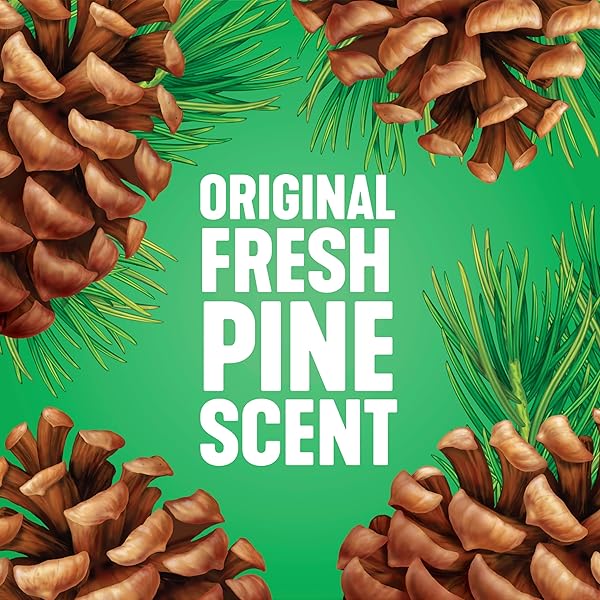 PINE-SOL MULTI-SURFACE CLEANER, ORIGINAL, 20 FLUID OUNCES