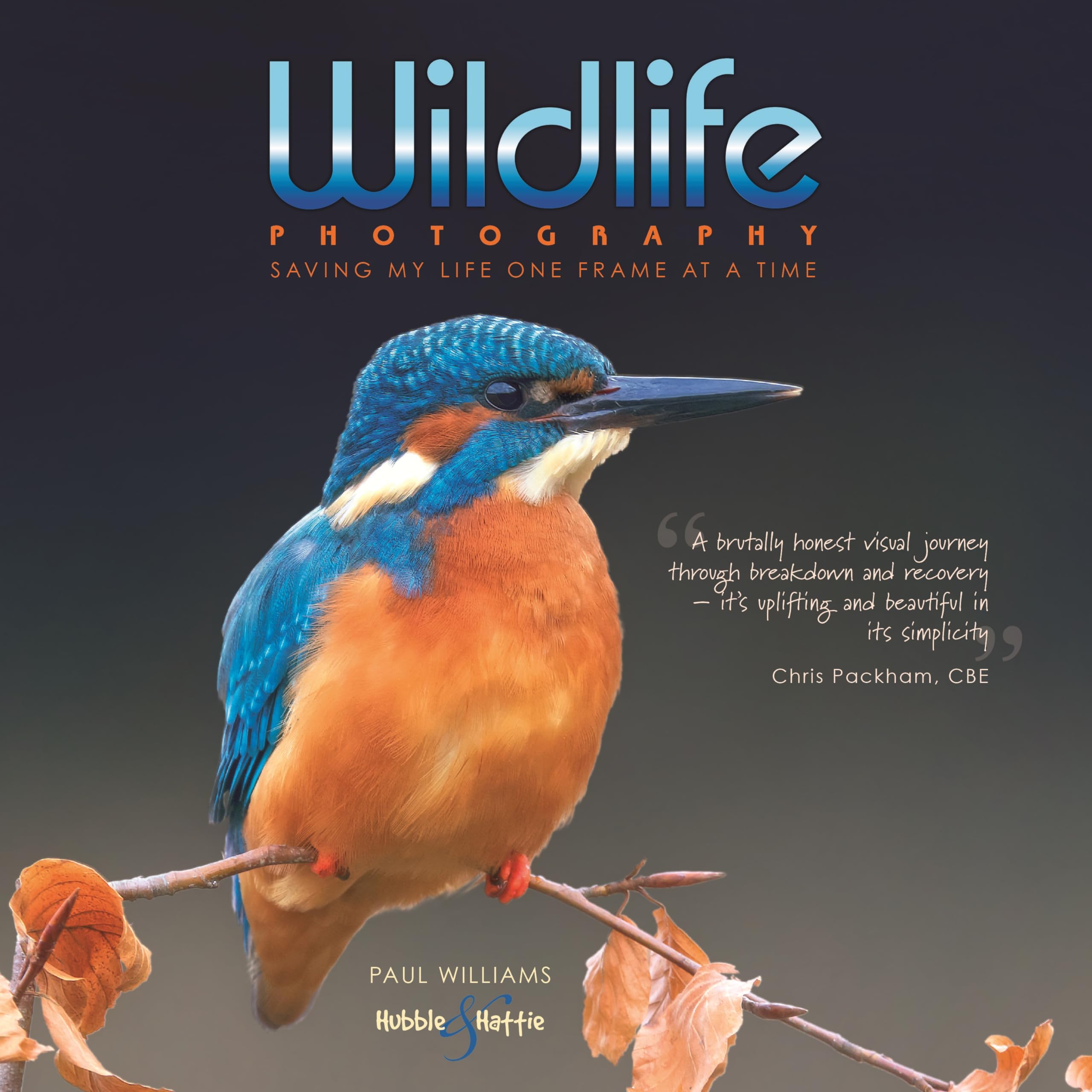 Wildlife photography: saving my life one frame at a time