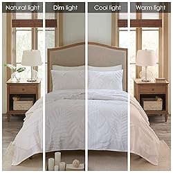 Madison Park Tufted Chenille Cotton Comforter, All