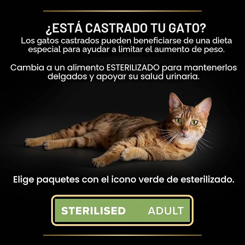 Comida húmeda de Gato Cat Wet NutriSavour Delicado 850 g (Paquete de 4, Total 40 Bolsas)