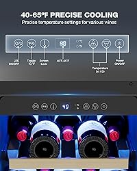 ICEVIVAL 15 Inch Wine Cooler Refrigerator, 28