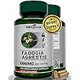 KIKI Green Fadogia Agrestis Herbal Supplement - 1000mg Per Serving - 120 Vegan Capsules for Daily Energy Boost, Vitality, and Well-Being Support