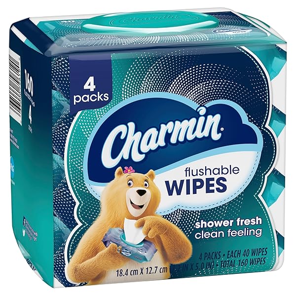 CHARMIN FLUSHABLE WIPES, 160 TOTAL WIPES (4 PACKS OF 40)