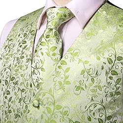 Hi-Tie Men's Green Suit Vest Bowetie Set 5PCS